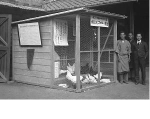 昭和初期の最新式種鶏用組立式コロニー鶏舎