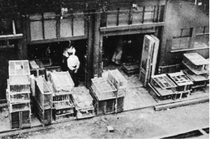 ニューヨークの生鳥市場にて（1900年頃）