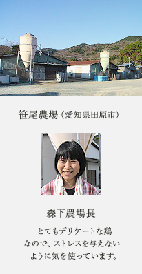 笹尾農場（愛知県田原市） 森下農場長 とてもデリケートな鶏なので、ストレスを与えない　ように気を使っています。