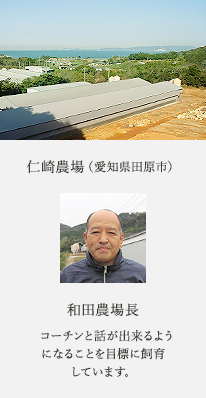 仁崎農場（愛知県田原市） 和田農場長 コーチンと話が出来るようになることを目標に飼育しています。