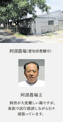 阿部農場（愛知県豊橋市） 阿部農場主 飼育が大変難しい鶏ですが、家族で試行錯誤しながら日々頑張っています。