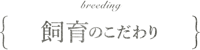 breeding 飼育のこだわり