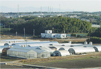 今田農場（愛知県田原市）