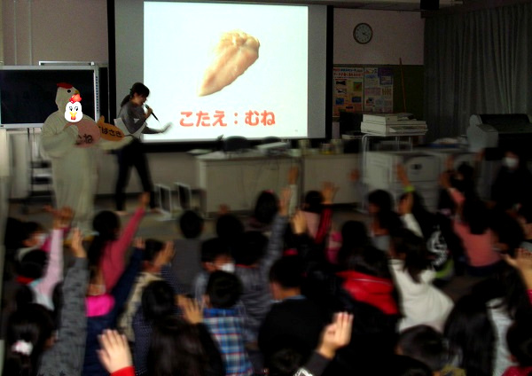 小学校での鶏肉授業2